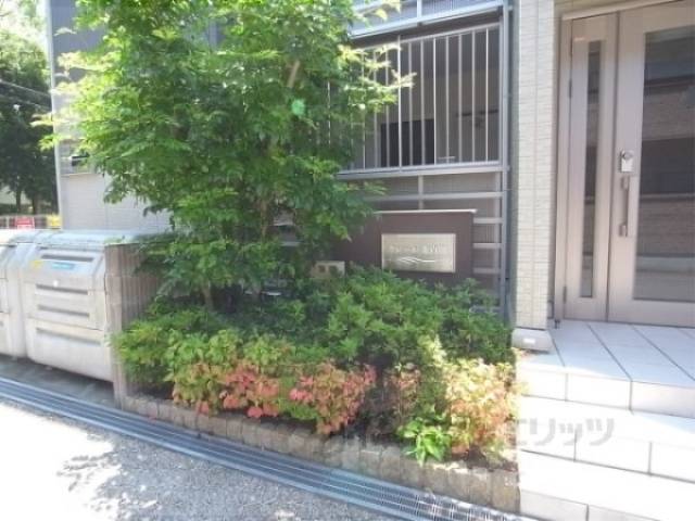 植栽