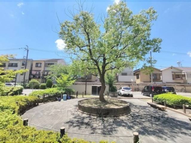植栽