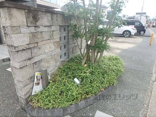 植栽
