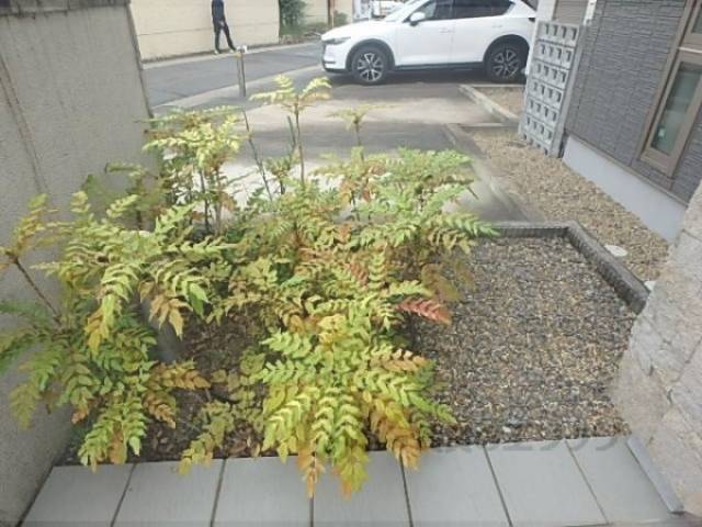 植栽