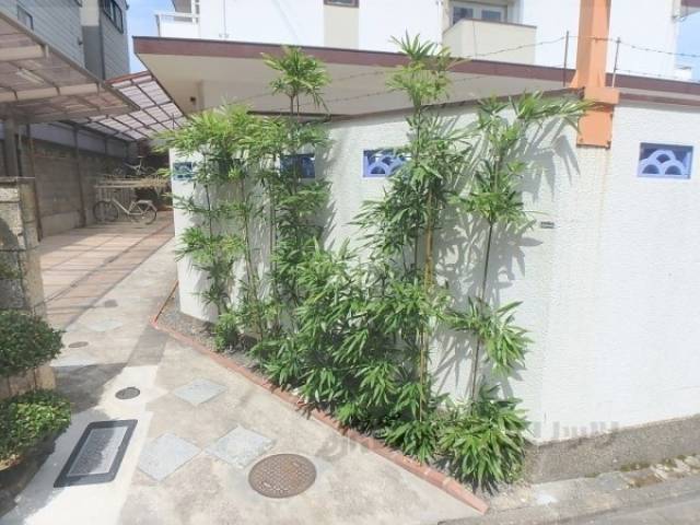 植栽