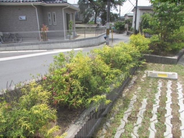 植栽