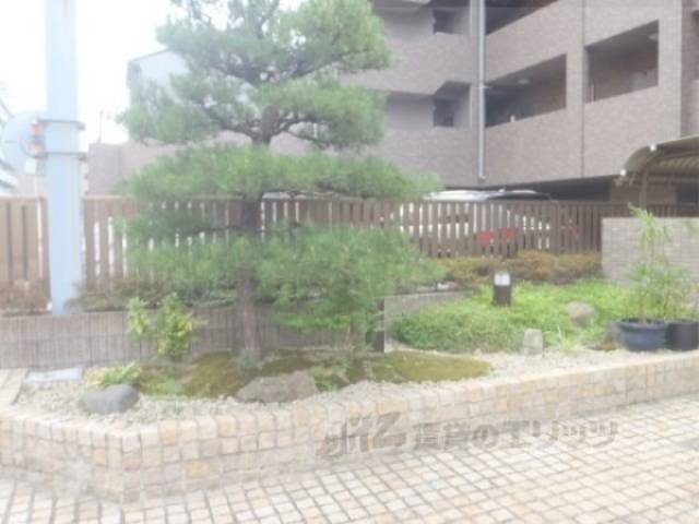 植栽