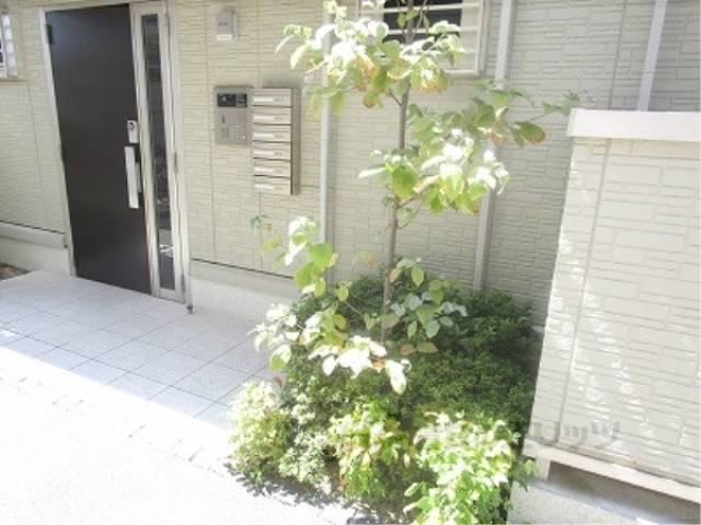 植栽