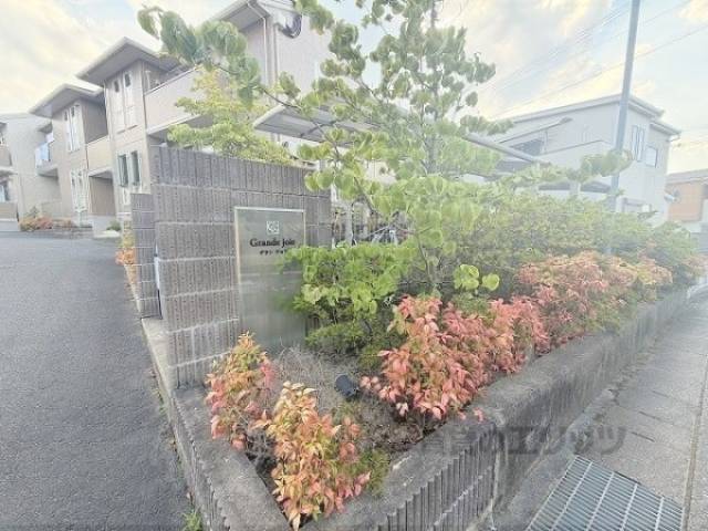 植栽