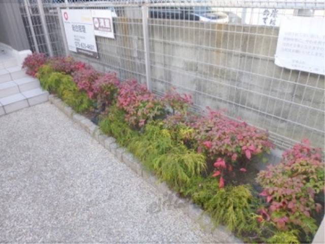 植栽