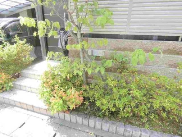 植栽