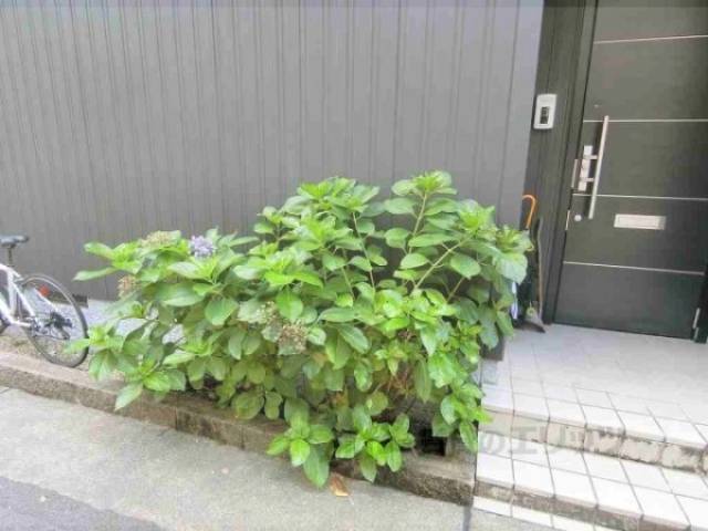 植栽