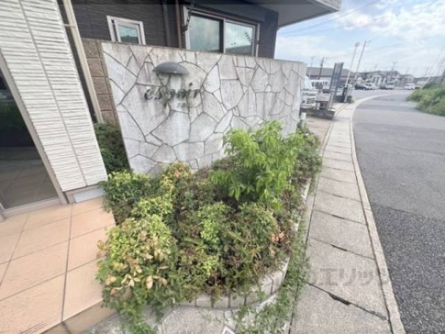 植栽