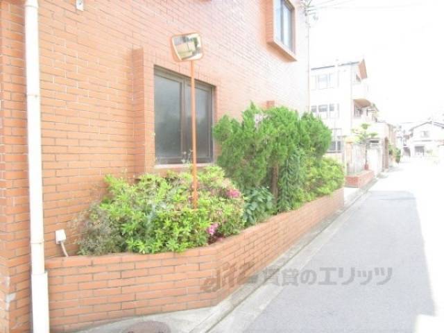 植栽