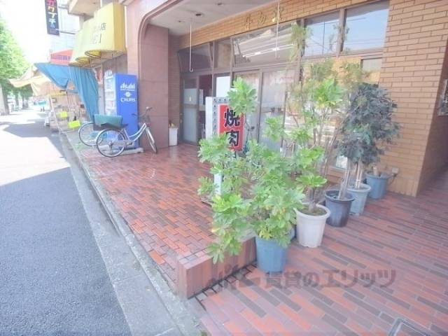 植栽