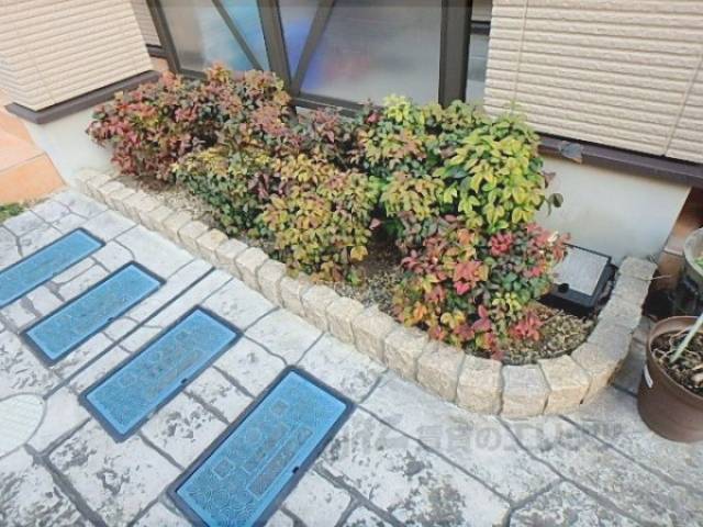 植栽