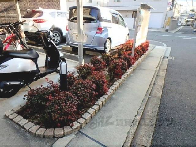 植栽