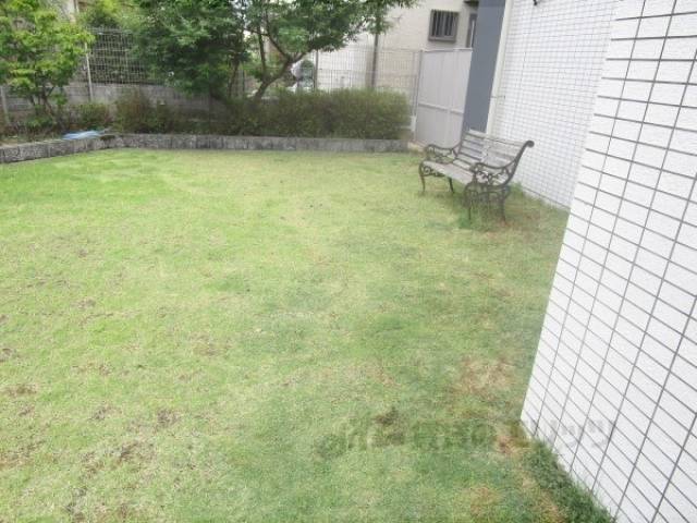 ドッグラン