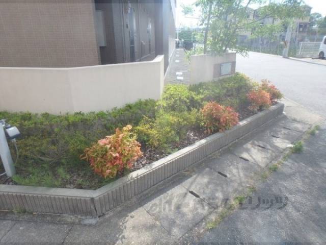 植栽
