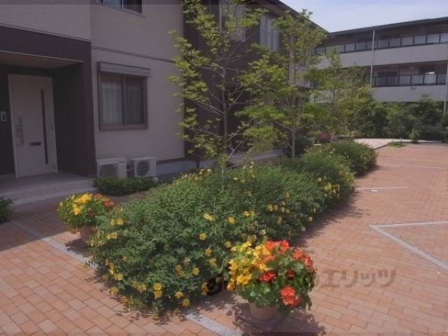 植栽