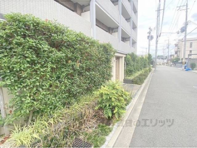 植栽