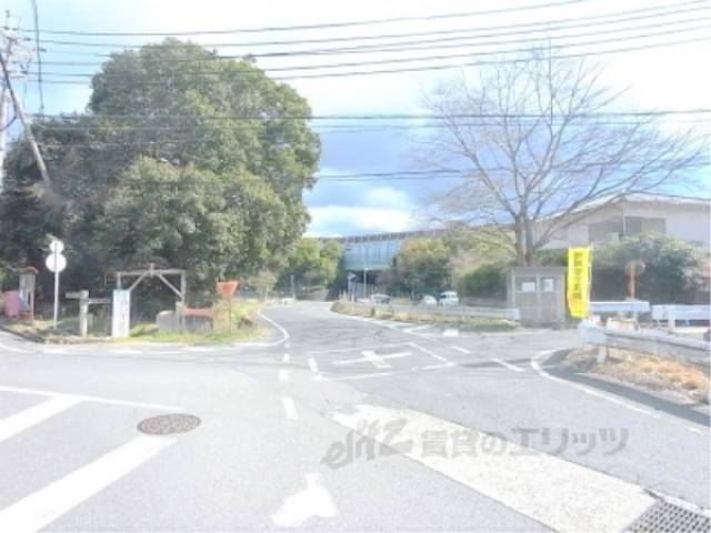 前面道路　ゴミ箱