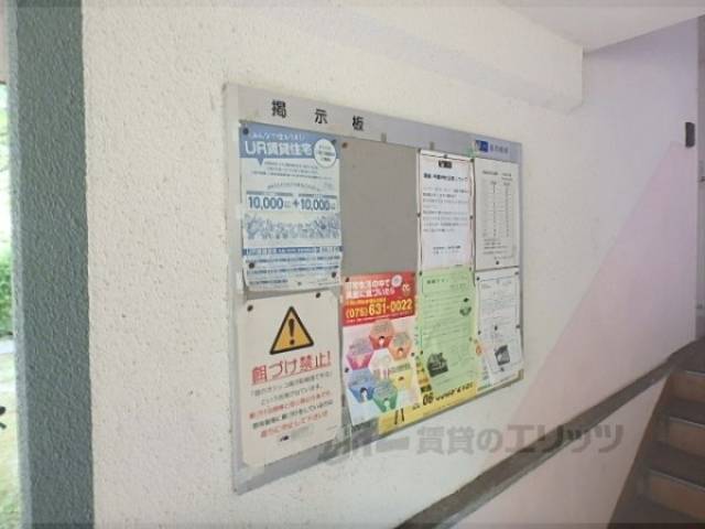 掲示板