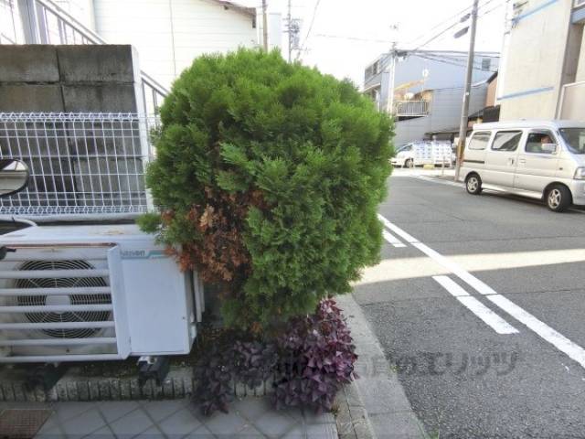 植栽