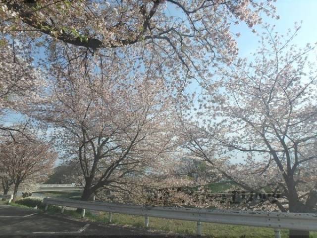 近隣風景