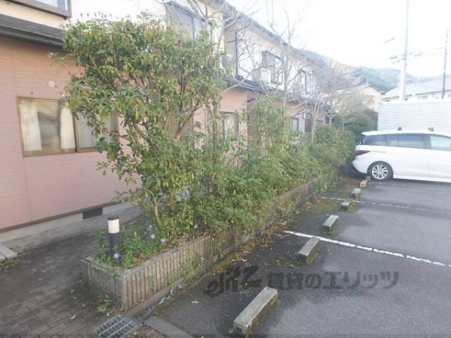 植栽