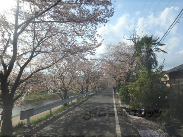 近隣風景