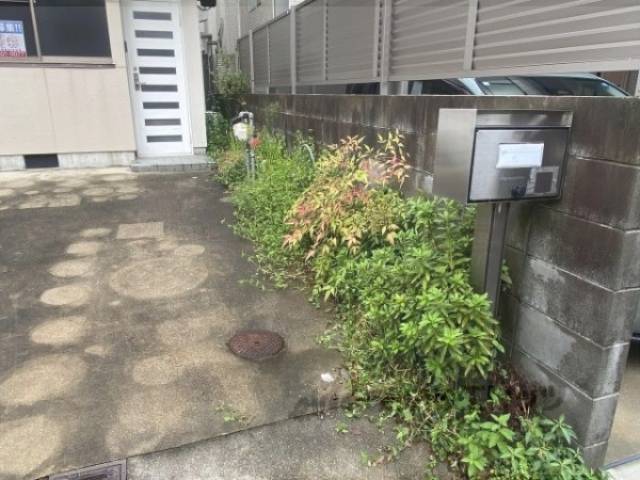 植栽