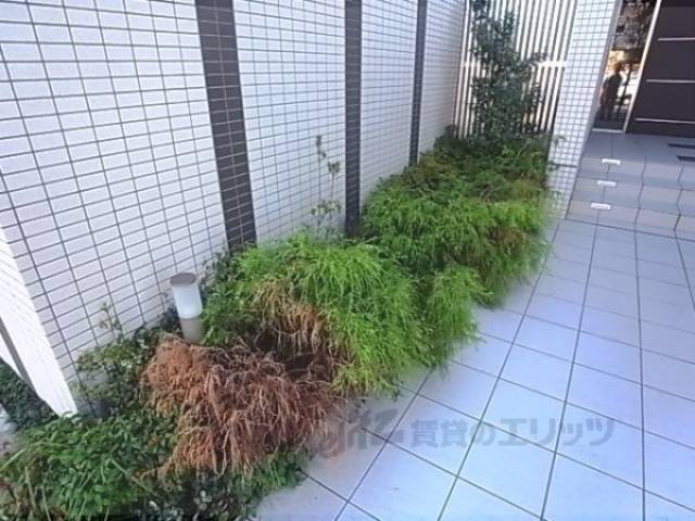 植栽