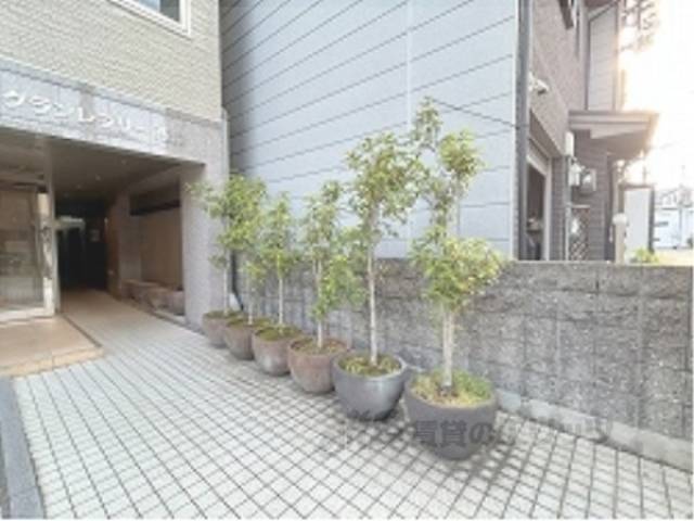 植栽