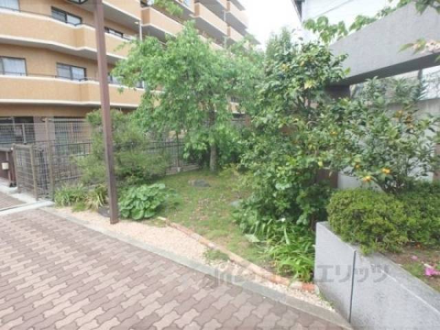 植栽