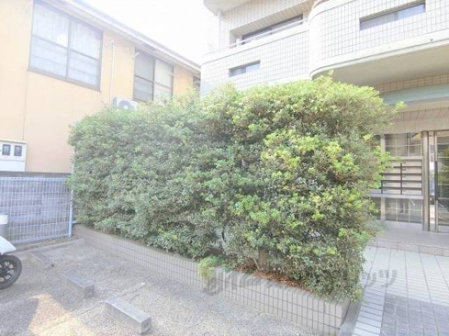 植栽