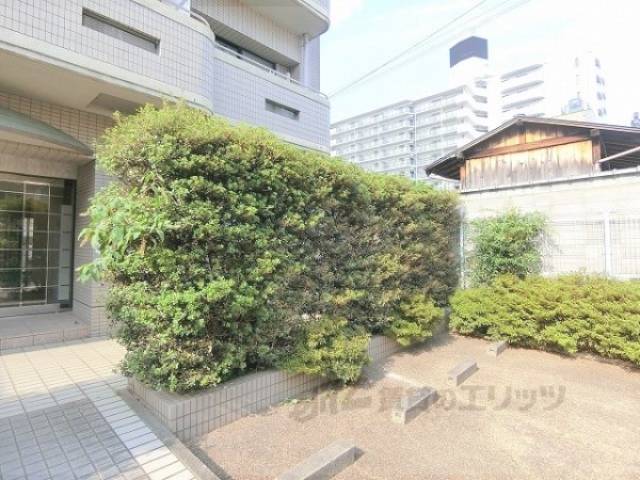植栽