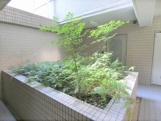 植栽