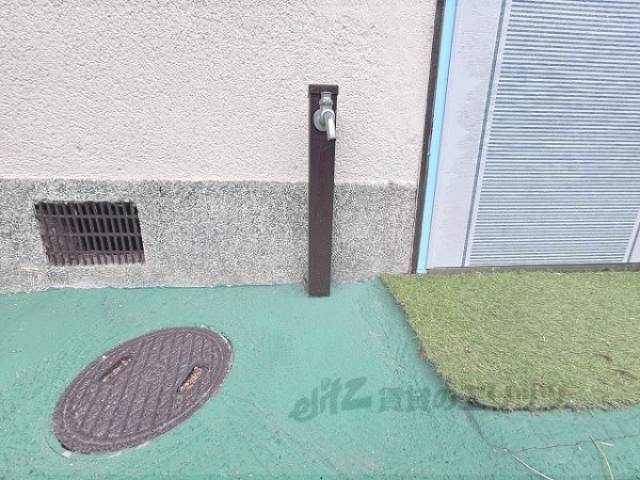 蛇口