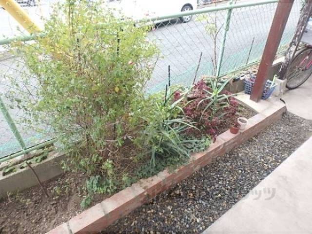 植栽