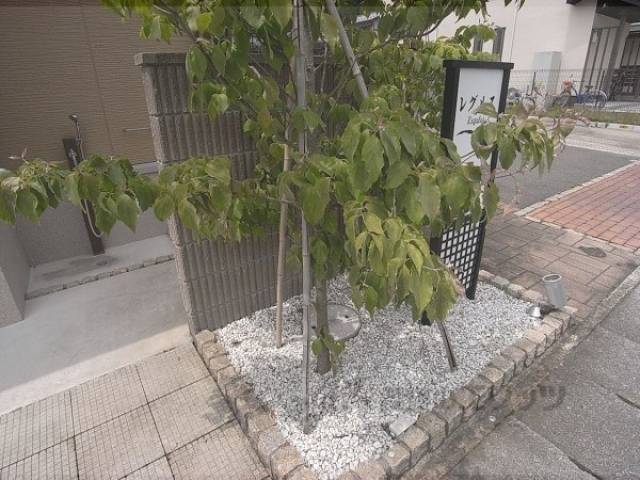 植栽