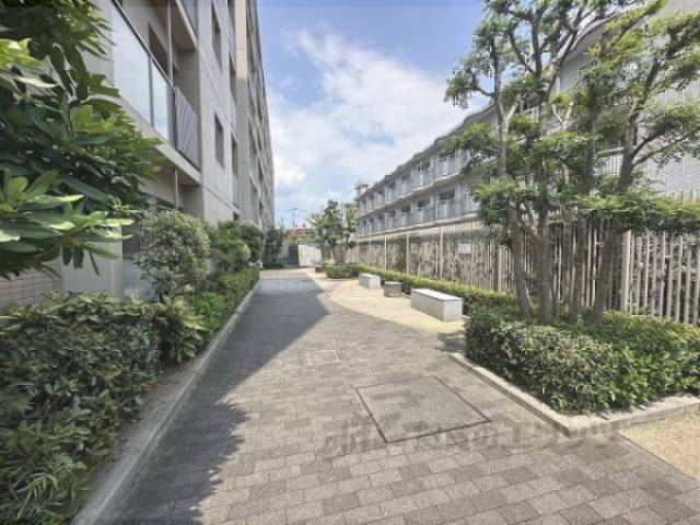 庭