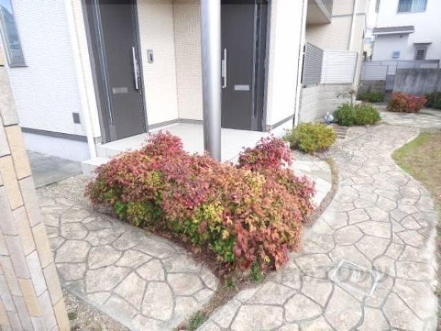 植栽