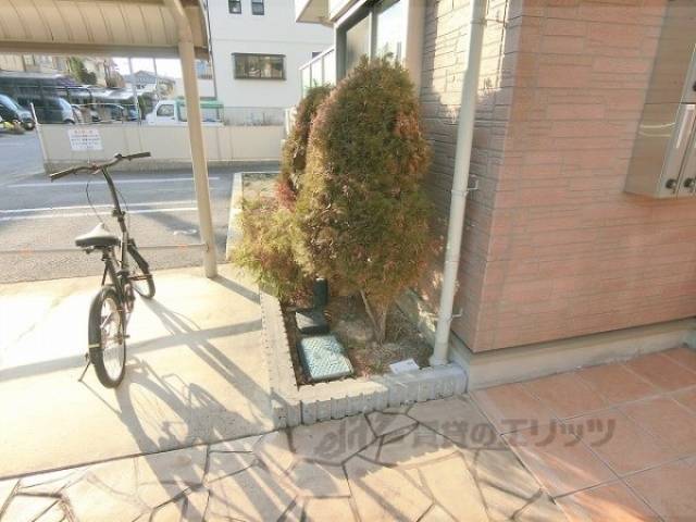 植栽
