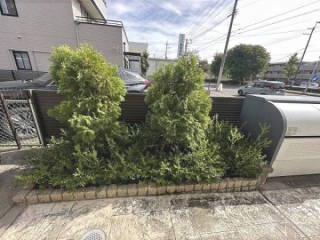 植栽