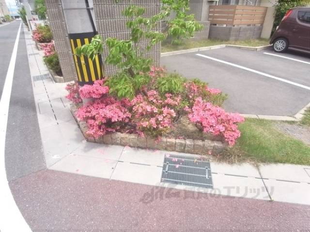植栽
