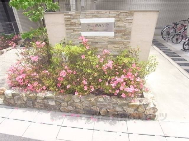 植栽