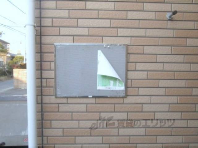 掲示板