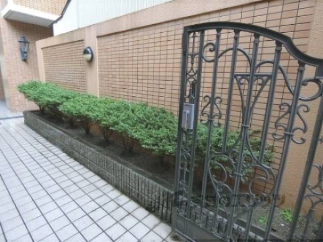 植栽