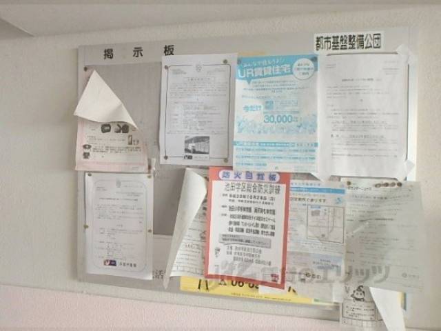 掲示板
