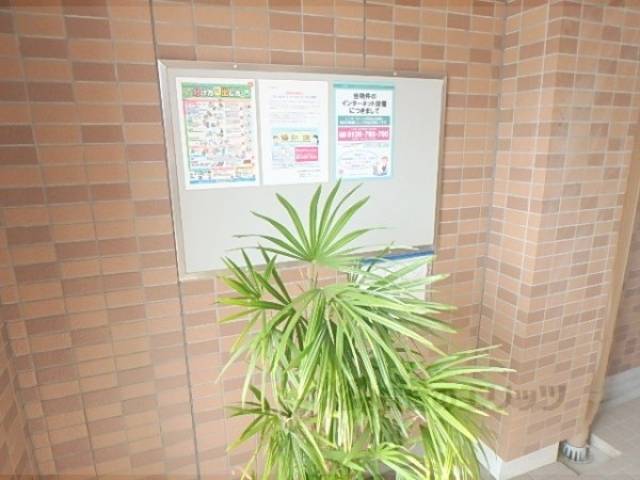 掲示板