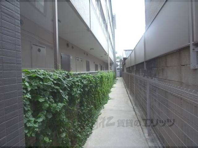通路
