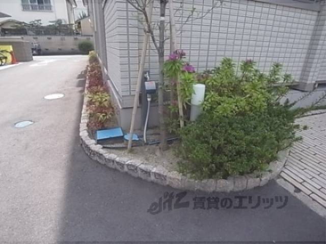 植栽