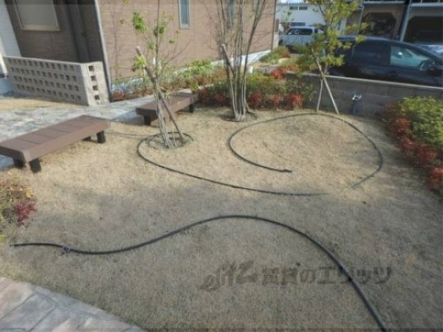 植栽